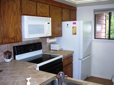 561 S Vasels Rd unit R8-C or C-8, Brian Head, UT 84719 - photo 3