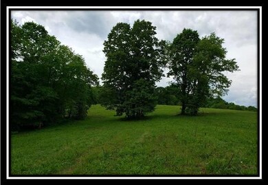 image004