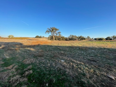 0 White Oak Rd, Plymouth, CA 95669 - photo 6