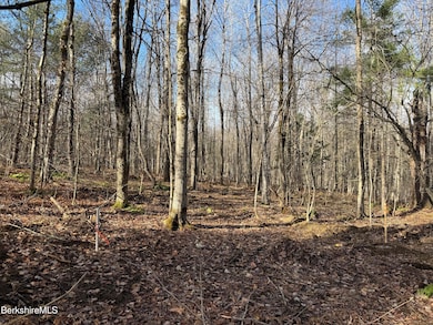 Lot 8 Benton Hill Rd, Becket, MA 01223 - photo 3