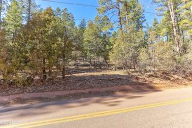 11180 N Houton Mesa Rd unit 77, Payson, AZ 85541 - photo 2