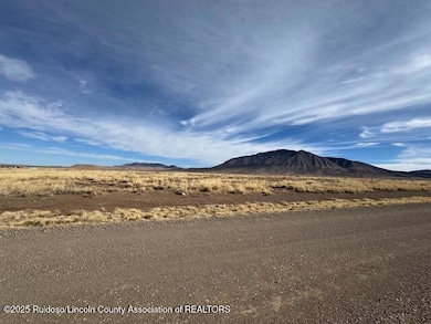 101 Jimson Weed, Carrizozo, NM 88301 - photo 2