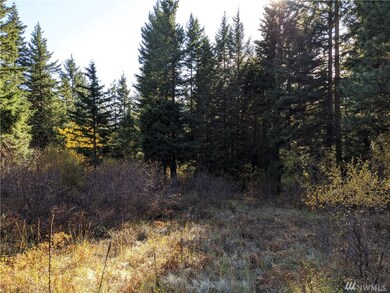 1 Bakers Rd, Cle Elum, WA 98922 - photo 2