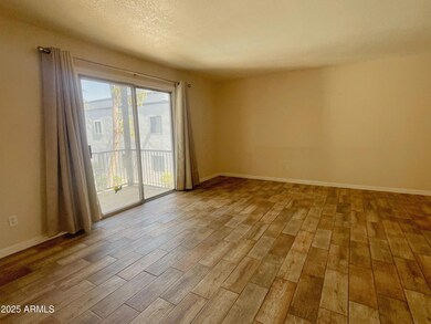 740 W Elm St unit 243, Phoenix, AZ 85013 - photo 2