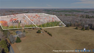 Lot 1 Dogtown Rd, Goochland, VA 23063 - photo 2