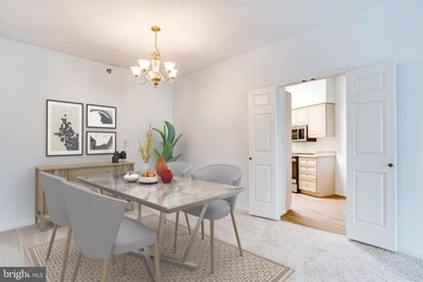 2904 N Leisure World Blvd unit 217, Silver Spring, MD 20906 - photo 5