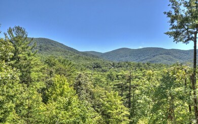Additional View