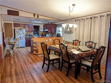 2875 N Page Ave, Hernando, FL 34442 - photo 4