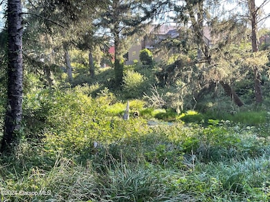 Creek View 2
