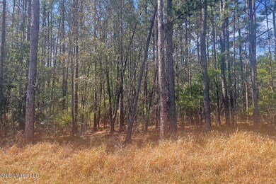 1.5 Acres Barton Agricola, Lucedale, MS 39452 - photo 7