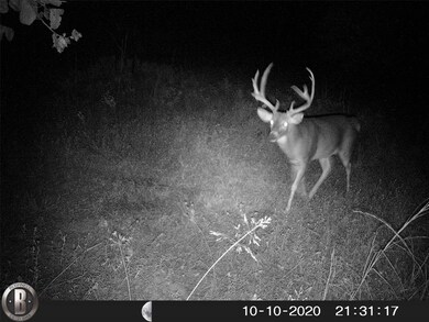 27014 U S Route 377, Gordonville, TX 76245 - photo 6