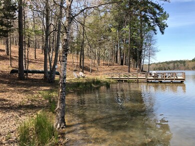 98 County Road 437, Oxford, MS 38655 - photo 6