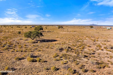 2322 US Hwy 180, Williams, AZ 86046 - photo 5
