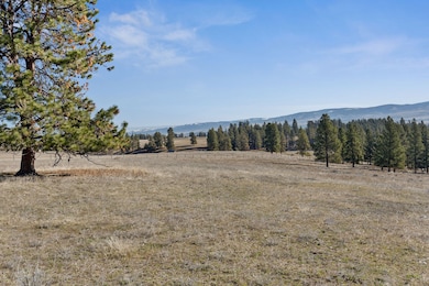 535 Sadie Way, Victor, MT 59875 - photo 4
