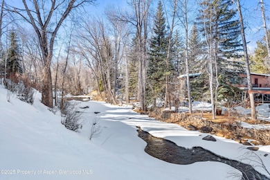 990 E Hopkins Ave, Aspen, CO 81611 - photo 2