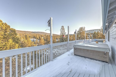 Large Back Deck
