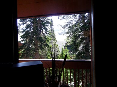 VIEW OUT WINDOW