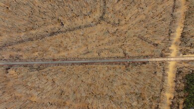 0 Etheridge Levee Rd, Greenfield, TN 38230 - photo 6