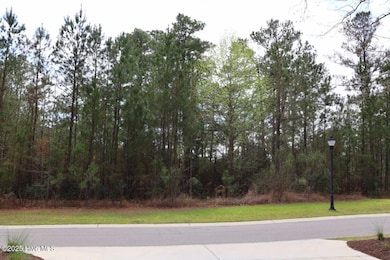 9319 Fallen Pear Ln NE, Northwest, NC 28451 - photo 4