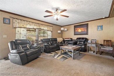 10117 Beth Lynn Rd, Mulberry, AR 72947 - photo 5