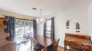 707 Lickskillet Rd, Burnsville, NC 28714 - photo 5