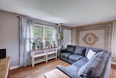 105 Meadow View Ct