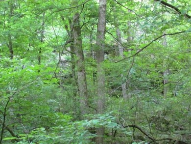 12564 Parker Branch Rd, West Fork, AR 72774 - photo 5