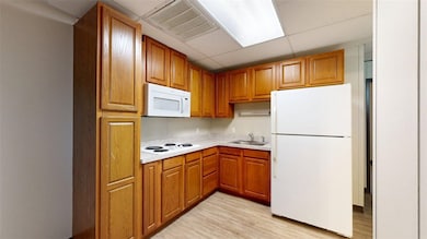 Kitchen with visible vents, a sink, light countert