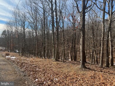 186 Crossings View Rd, Paw Paw, WV 25434 - photo 3