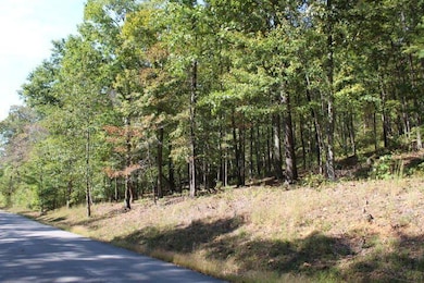 1282 Haynes Knob Rd, Somerset, KY 42501 - photo 5