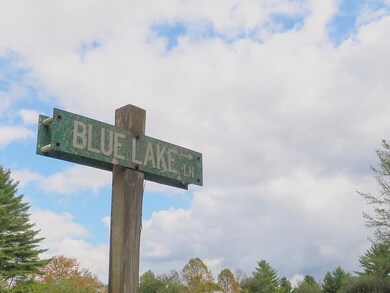 TBD Blue Lake Ln, Laurel Fork, VA 24352 - photo 4
