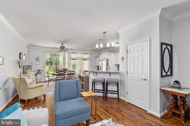 502 Mathias Hammond Way unit 101, Annapolis, MD 21401 - photo 5