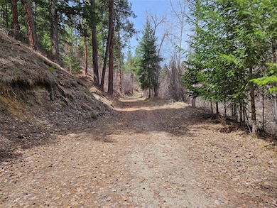 375 Healer Rd, Hamilton, MT 59840 - photo 5