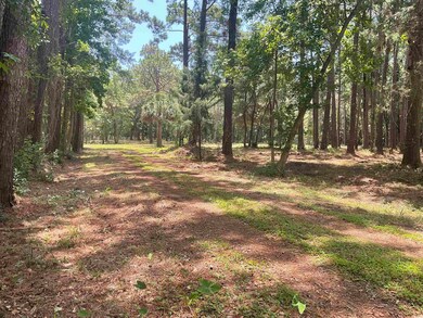 9890 Ocean Hwy, Pawleys Island, SC 29585 - photo 6