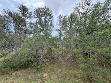 View of local wilderness