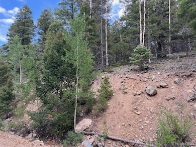 Lot 6184 Ryland Rd, San Pablo, CO 81152 - photo 3