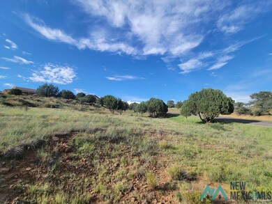 XX Copper Ridge Dr, Silver City, NM 88061 - photo 6