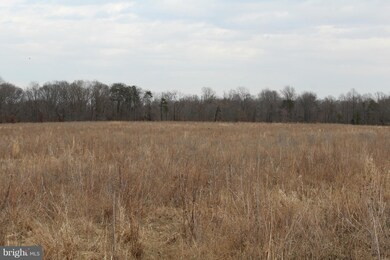 125 Foxes Ln, Earleville, MD 21919 - photo 2