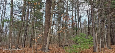 2.17 Acres N Branch Dr unit Woodview Pass VL, Beaverton, MI 48612 - photo 4