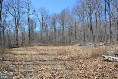 16418 Cedar Grove, Sparks, MD 21152 - photo 4