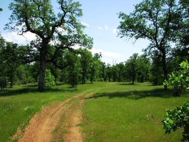 Roads & Trails throughout