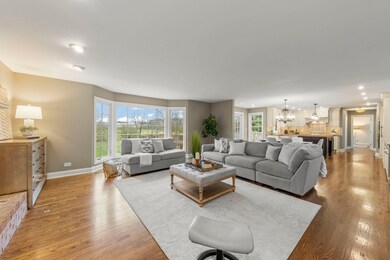 6441 Bobby Jones Ln unit 2, Woodridge, IL 60517 - photo 7