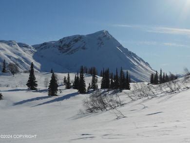 Hayes cabin McHoes (4)
