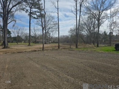 TBD Tiger Bend Rd, Baton Rouge, LA 70817 - photo 2