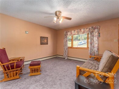 109 Dix Creek Chapel Rd, Asheville, NC 28806 - photo 4