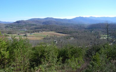 Additional View