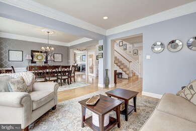 14208 Drayton Ave, Silver Spring, MD 20904 - photo 6