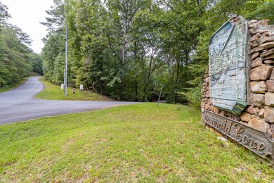 372 Emerald Springs Ln, Ellijay, GA 30540 - photo 3