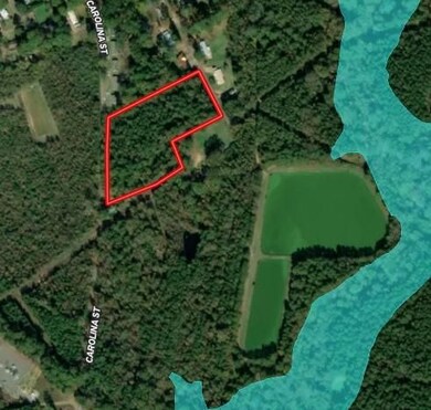 Alabama St, Roxie, MS 39661 - photo 6