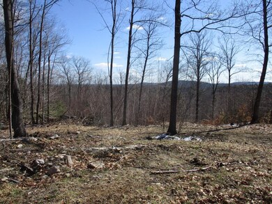 5 Isaac Frye Hwy, Wilton, NH 03086 - photo 3